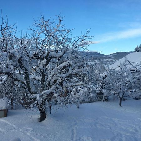 Haus Frank & Sophie Daire Feldkirchen in Kärnten Dış mekan fotoğraf